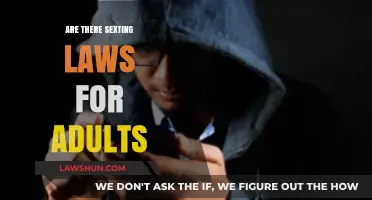 Sexting Laws for Adults: Understanding Legal Boundaries and Risks