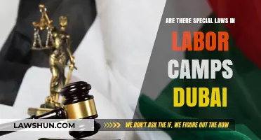 Dubai Labor Camps: Special Laws and Worker Rights Explained