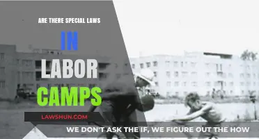 Labor Camps and Legal Rights: Exploring Special Laws and Regulations