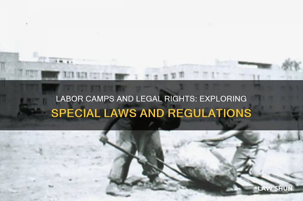 are there special laws in labor camps