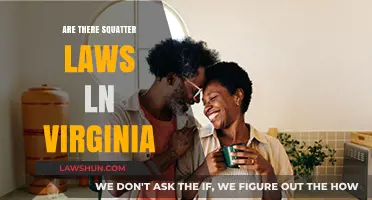 Understanding Squatter Rights in Virginia: Legal Insights and Implications