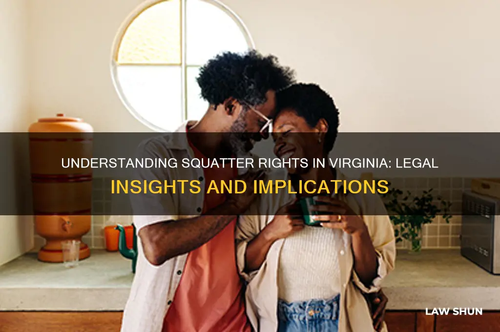 are there squatter laws ln virginia