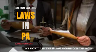 Understanding Squatters Rights in Pennsylvania: Legal Insights and Protections