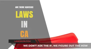 California Squeegee Laws: What You Need to Know