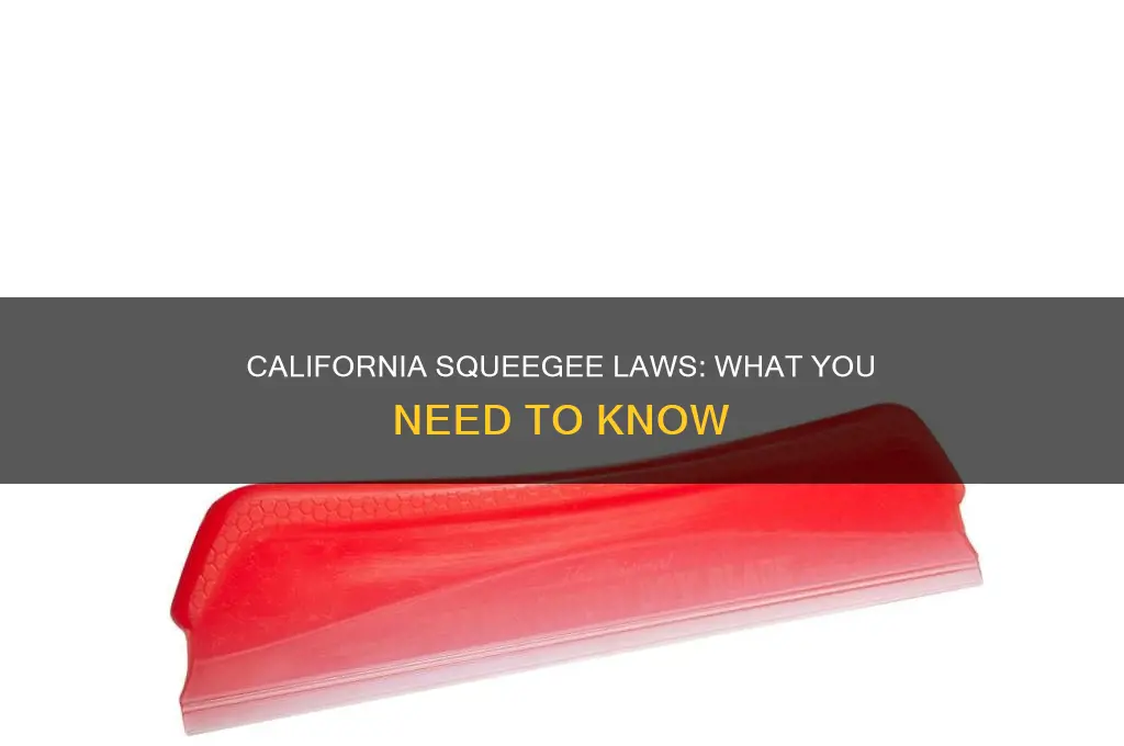are there squeegee laws in ca