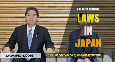 Understanding Japan's Stalking Laws: Protection, Penalties, and Legal Framework