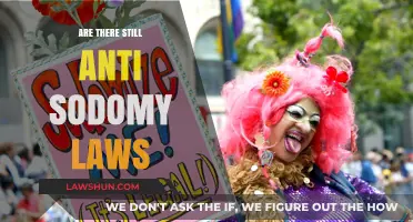Anti-Sodomy Laws: Still a Thing?