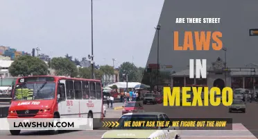 Understanding Mexico's Street Laws: Rules, Enforcement, and Cultural Context