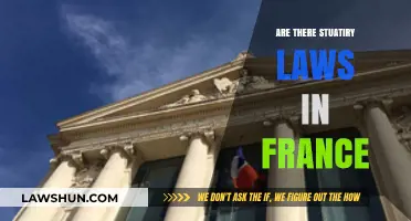 Understanding France's Statutory Laws: A Comprehensive Legal Overview