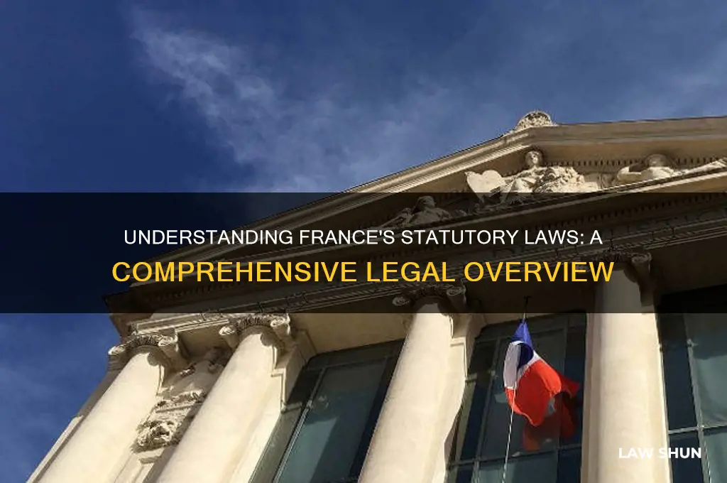 are there stuatiry laws in france