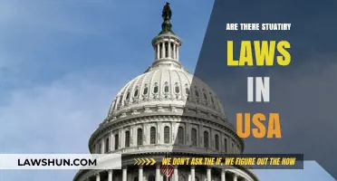 Understanding Statutory Laws in the USA: A Comprehensive Overview