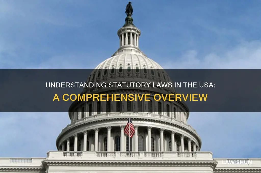 are there stuatiry laws in usa
