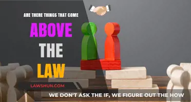 Beyond Legal Boundaries: Exploring Concepts Above the Law's Reach