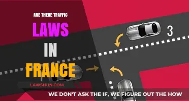Understanding France's Traffic Laws: Rules, Regulations, and Road Safety