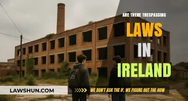 Understanding Trespassing Laws in Ireland: Rights, Regulations, and Responsibilities