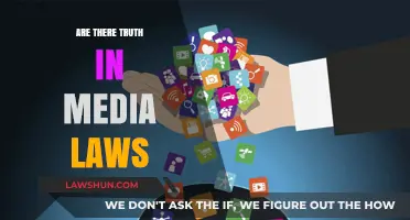 Unveiling the Reality: Truth in Media Laws Explored and Debated