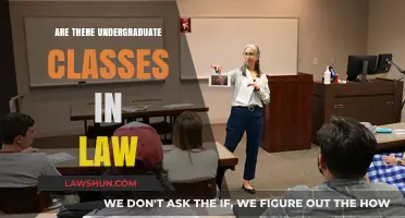 Exploring Undergraduate Law Classes: Options and Opportunities for Students