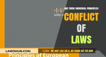 Conflict of Laws: Universal Principles or Not?