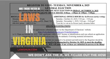 Virginia Voter ID Laws: What You Need to Know Before Voting