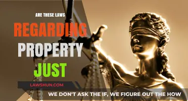 Are Property Laws Fair? Examining Justice in Real Estate Legislation