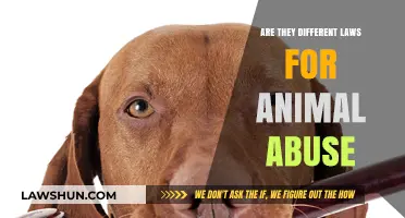 Animal Abuse: Understanding Legal Differences