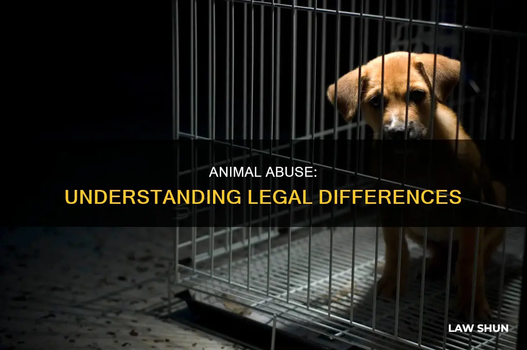 are they different laws for animal abuse