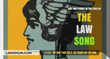 Equal in the Eyes of the Law: Analyzing the Song's Message