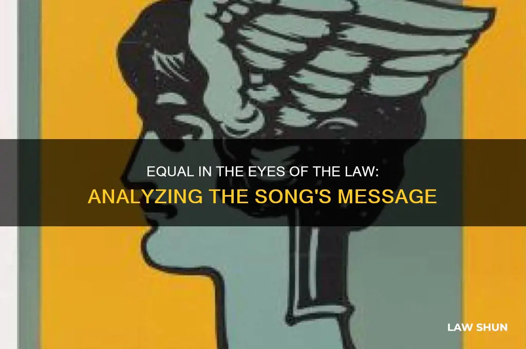 are they equal in the eyes of the law song