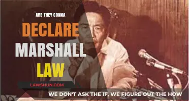 Will Marshall Law Be Declared? Exploring the Possibility and Implications