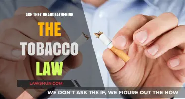 Are Tobacco Laws Being Grandfathered? Understanding the Current Legal Landscape