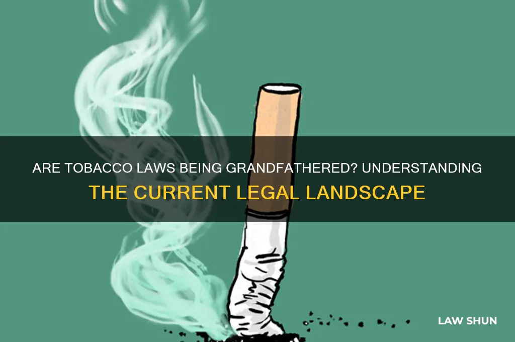 are they grandfathering the tobacco law