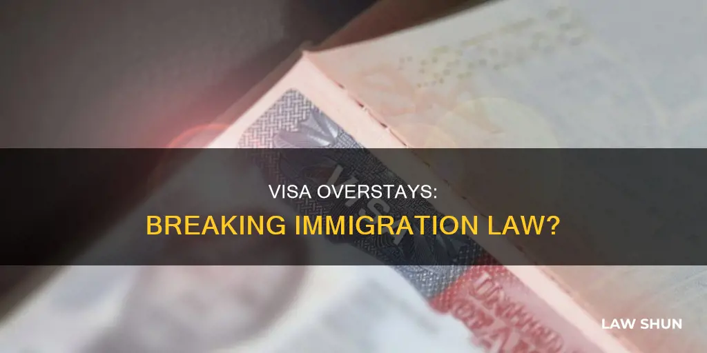 are those immigrants who overstay their visas breaking the law