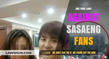 Legal Boundaries: Are There Laws Against Sasaeng Fan Behavior?