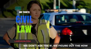 Are Tickets Civil Law? Understanding Legal Implications and Rights