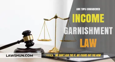 Are Tips Considered Income Under Garnishment Law? Key Insights