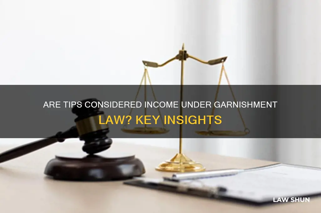 are tips considered income garnishment law