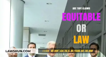 Equity vs. Law: Understanding the Nature of Tort Claims