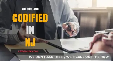 Are Tort Laws Codified in NJ? Understanding New Jersey's Legal Framework