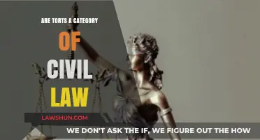 Understanding Torts: A Key Category Within Civil Law Explained