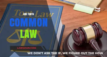 Torts and Common Law: What's the Connection?