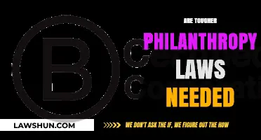 Are Tougher Philanthropy Laws Necessary for Greater Accountability?