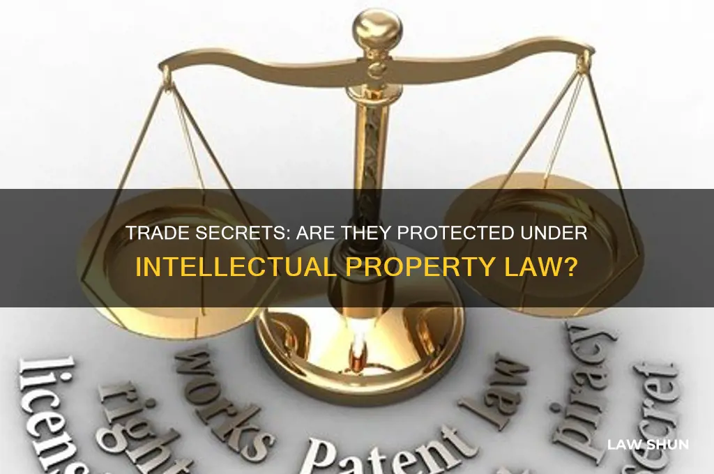 are trade secrets part of intellectual property law