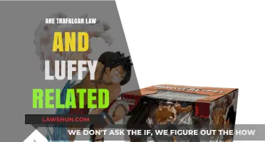 Are Trafalgar Law and Luffy Related? Exploring Their Bond in One Piece