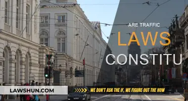 Traffic Laws: Constitutional or Unjust?