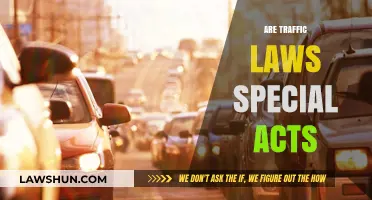 Are Traffic Laws Special Acts? Understanding Their Unique Legal Status
