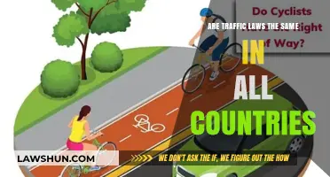 Global Traffic Laws: Universal Rules or Country-Specific Regulations?