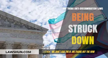 Trans Rights: Anti-Discrimination Laws Under Threat