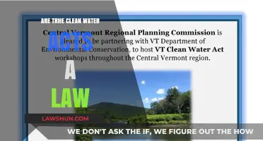 Are Clean Water Acts Legally Binding? Understanding Their Legal Status