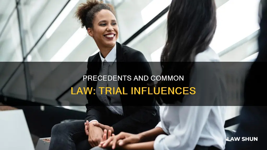 are trials governed by precedents and common law