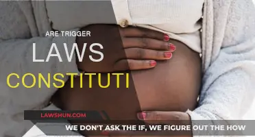 The Constitutionality of Trigger Laws: A Complex Issue